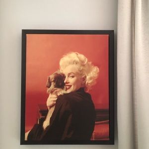 Marilyn Monroe/Pekingese Dog Pic